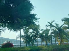 -德宏芒市国际机场