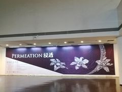 -天津美术学院-校史馆