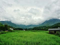-祁门牯牛降观音堂风景区