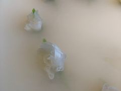 -不二茶空间·养生宴(石景山店)