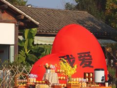 -贡湖湾湿地公园