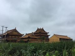 -圆陀角旅游度假区-玉龙寺