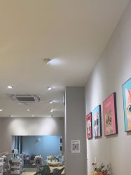 -洗脸猫·洗脸吧