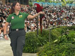 -新加坡飞禽公园