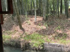 -同里国家湿地公园