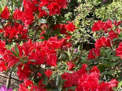 -玄武湖景区-情侣园游乐场