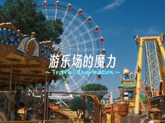 -松鼠王国