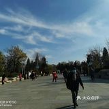 人们也是不惧寒冬，在这金色的花园里