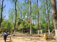 -合肥滨湖国家森林公园