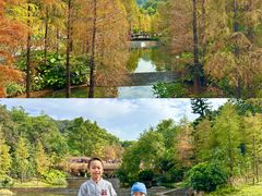 -云溪植物园