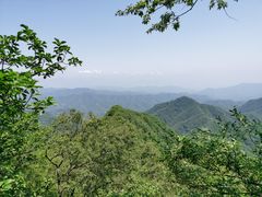 -栾川竹海野生动物园
