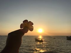 -洞里萨湖
