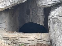 -都江堰中华大熊猫苑