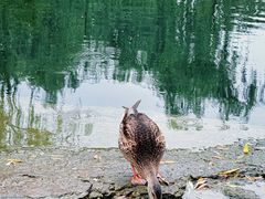 -陶然亭公园