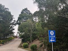 -广东惠东海龟国家级自然保护区