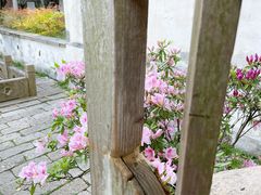 -惠山古镇·寄畅园