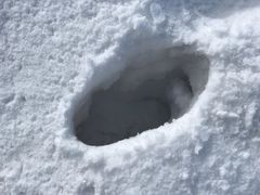 -太子岭滑雪场