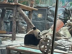 -武汉动物园