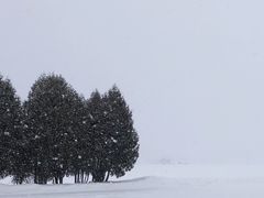 -富田农场