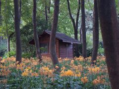 -杭州植物园