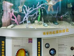 -中国第四纪冰川遗迹陈列馆