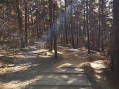 -沈阳辉山风景区