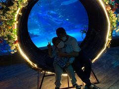 -沈阳海洋探索中心