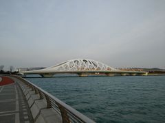 -星光岛