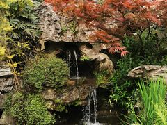 -新荣记(西溪湿地店)