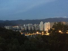-金鸡山公园