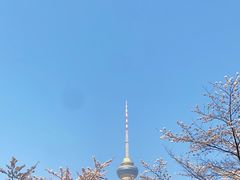 -中央广播电视塔