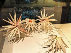 -中国美术学院象山校区-民艺博物馆