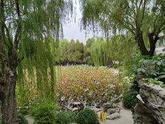 -莲池书院博物馆