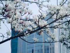 -人民广场
