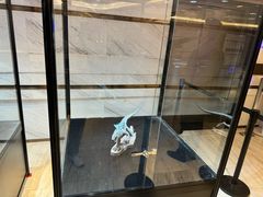 -英皇电影城(英皇集团中心IMAX店)