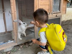 -蒙蒙狮蒙台梭利儿童之家