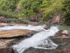 -广州白江湖森林公园