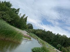 -大望京公园