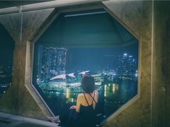 -新加坡丽思卡尔顿美年酒店