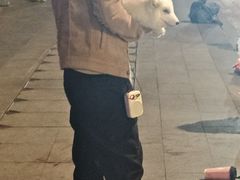 -武汉长江大桥