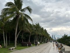 -深圳湾公园(南山区)
