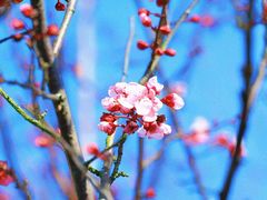 -福州大学(旗山校区)