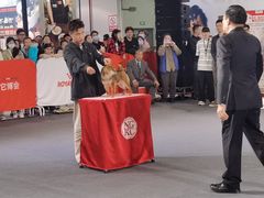 -东浩兰生上海世博展览馆