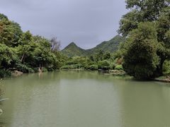 -花溪公园