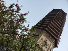 -玲珑塔公园