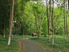 -桤木河湿地公园