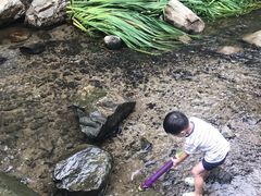 -白水寺森林公园