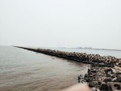 -东疆建设开发纪念公园