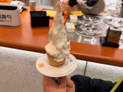 -野人先生Gelato(上海长宁龙之梦店)