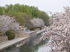 -元大都城垣遗址公园